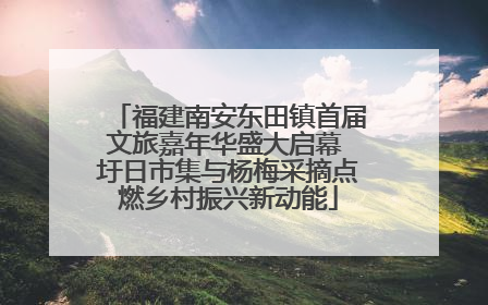 福建南安东田镇首届文旅嘉年华盛大启幕 圩日市集与杨梅采摘点燃乡村振兴新动能