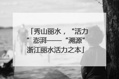 秀山丽水，“活力”澎湃——“溯源”浙江丽水活力之本