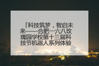 科技筑梦，智启未来——合肥一六八玫瑰园学校第十三届科技节机器人系列体验赛燃动校园