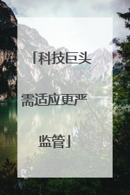 科技巨头需适应更严监管