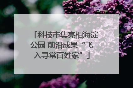 科技市集亮相海淀公园 前沿成果“飞入寻常百姓家”