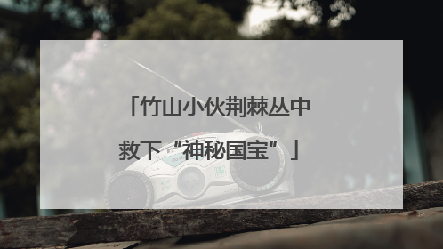 竹山小伙荆棘丛中救下“神秘国宝”