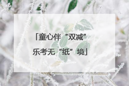 童心伴“双减” 乐考无“纸”境