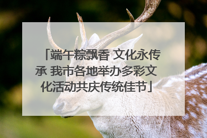 端午粽飘香 文化永传承 我市各地举办多彩文化活动共庆传统佳节