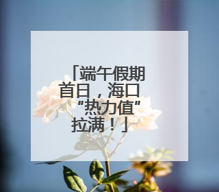 端午假期首日，海口“热力值”拉满！