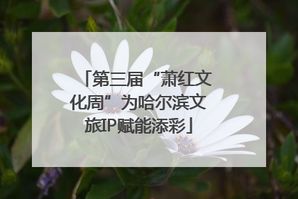 第三届“萧红文化周”为哈尔滨文旅IP赋能添彩