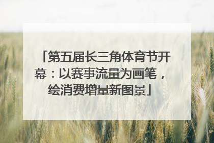 第五届长三角体育节开幕：以赛事流量为画笔，绘消费增量新图景