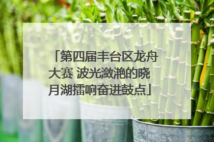 第四届丰台区龙舟大赛 波光潋滟的晓月湖擂响奋进鼓点