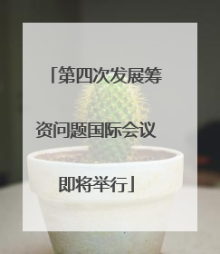 第四次发展筹资问题国际会议即将举行