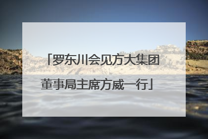 罗东川会见方大集团董事局主席方威一行