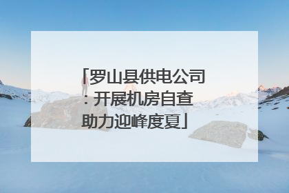 罗山县供电公司：开展机房自查 助力迎峰度夏