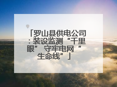 罗山县供电公司：装设监测“千里眼” 守牢电网“生命线”