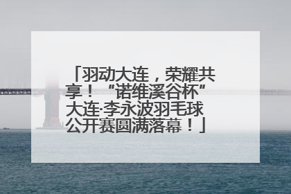 羽动大连，荣耀共享！“诺维溪谷杯”大连·李永波羽毛球公开赛圆满落幕！