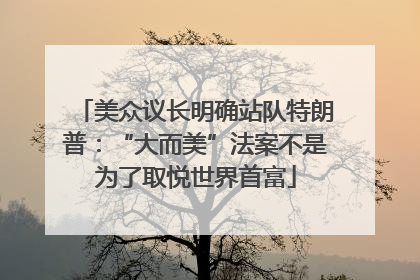 美众议长明确站队特朗普：“大而美”法案不是为了取悦世界首富