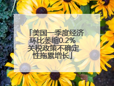 美国一季度经济环比萎缩0.2% 关税政策不确定性拖累增长
