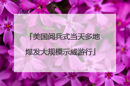 美国阅兵式当天多地爆发大规模示威游行