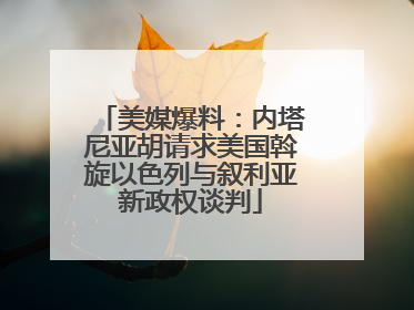 美媒爆料：内塔尼亚胡请求美国斡旋以色列与叙利亚新政权谈判