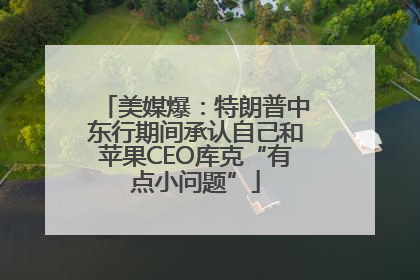 美媒爆：特朗普中东行期间承认自己和苹果CEO库克“有点小问题”