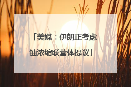 美媒：伊朗正考虑铀浓缩联营体提议