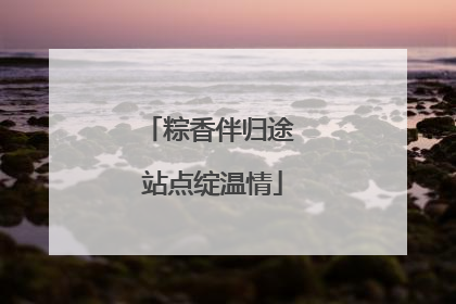 粽香伴归途 站点绽温情