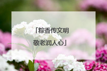 粽香传文明 敬老润人心