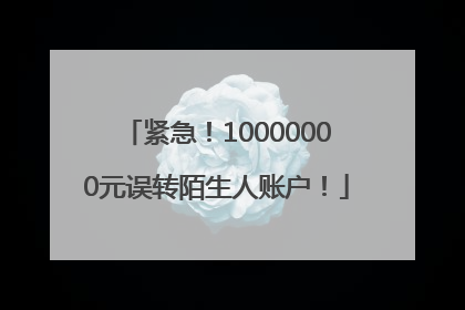 紧急！10000000元误转陌生人账户！
