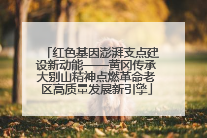 红色基因澎湃支点建设新动能——黄冈传承大别山精神点燃革命老区高质量发展新引擎