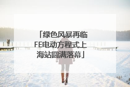 绿色风暴再临 FE电动方程式上海站圆满落幕
