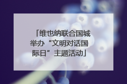维也纳联合国城举办“文明对话国际日”主题活动