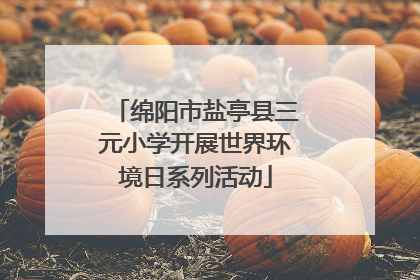 绵阳市盐亭县三元小学开展世界环境日系列活动