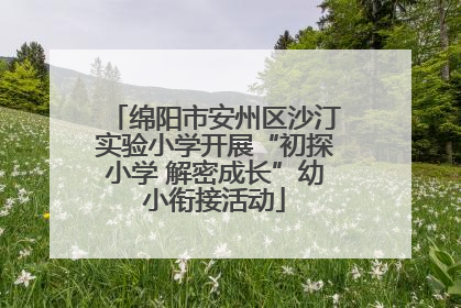 绵阳市安州区沙汀实验小学开展“初探小学 解密成长”幼小衔接活动