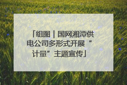组图｜国网湘潭供电公司多形式开展“计量”主题宣传
