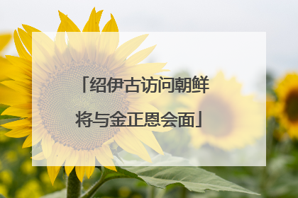 绍伊古访问朝鲜 将与金正恩会面
