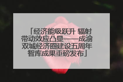 经济能级跃升 辐射带动效应凸显——成渝双城经济圈建设五周年智库成果重磅发布