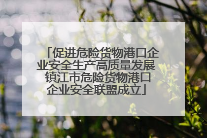 促进危险货物港口企业安全生产高质量发展 镇江市危险货物港口企业安全联盟成立