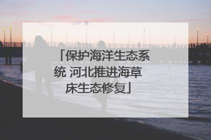 保护海洋生态系统 河北推进海草床生态修复