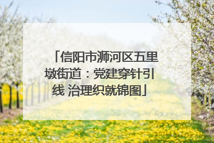 信阳市浉河区五里墩街道：党建穿针引线 治理织就锦图