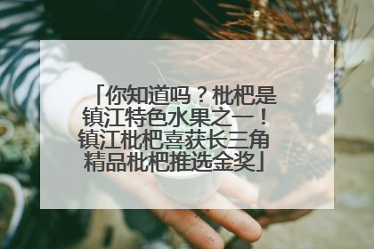 你知道吗？枇杷是镇江特色水果之一！镇江枇杷喜获长三角精品枇杷推选金奖