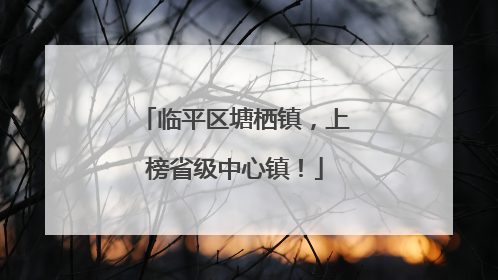 临平区塘栖镇，上榜省级中心镇！