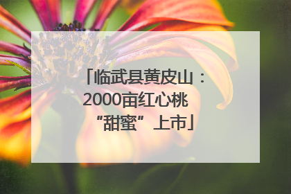 临武县黄皮山：2000亩红心桃“甜蜜”上市