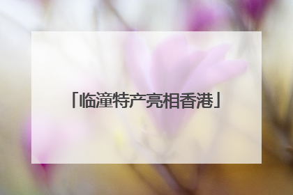 临潼特产亮相香港