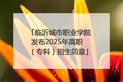 临沂城市职业学院发布2025年高职（专科）招生简章