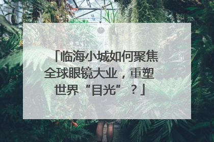 临海小城如何聚焦全球眼镜大业，重塑世界“目光”？