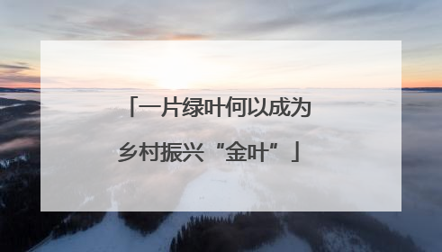 一片绿叶何以成为乡村振兴“金叶”