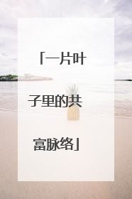 一片叶子里的共富脉络