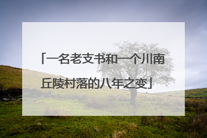 一名老支书和一个川南丘陵村落的八年之变