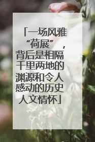 一场风雅“荷展”，背后是相隔千里两地的渊源和令人感动的历史人文情怀