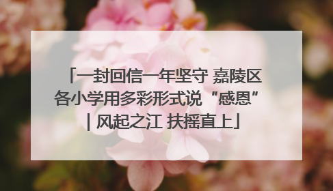 一封回信一年坚守 嘉陵区各小学用多彩形式说“感恩”｜风起之江 扶摇直上