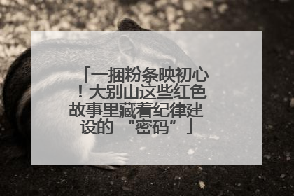 一捆粉条映初心！大别山这些红色故事里藏着纪律建设的 “密码”