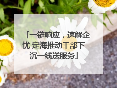 一链响应，速解企忧 定海推动干部下沉一线送服务